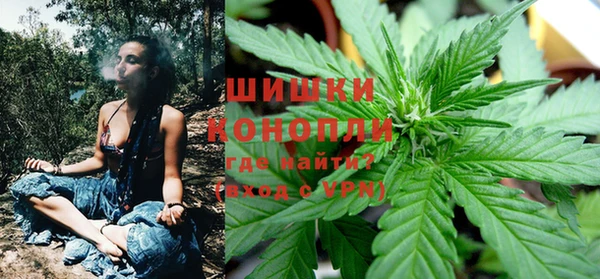 индика Кодинск
