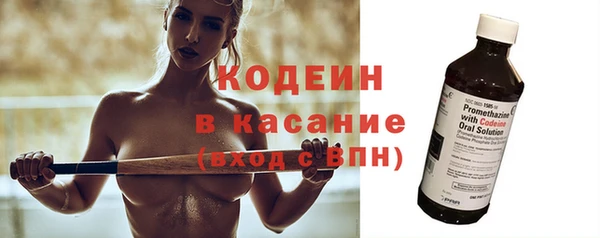 индика Кодинск