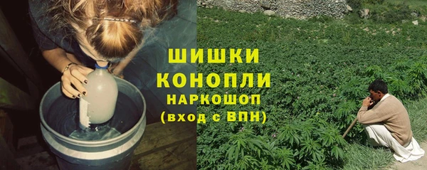 индика Кодинск
