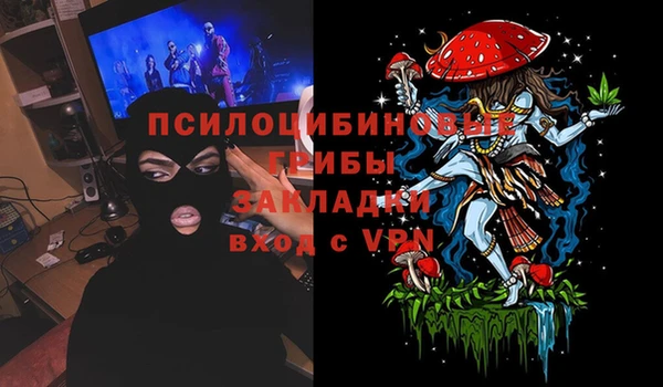 индика Кодинск
