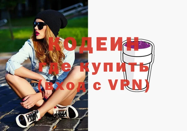индика Кодинск