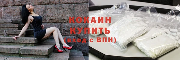 индика Кодинск