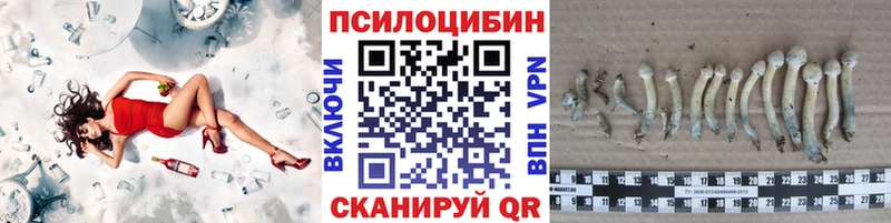 Купить закладки  Нюрба  Галлюциногенные грибы Psilocybe 